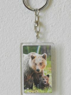 Obrázek z Klíčenka 3D 3,6x5,6cm - medvěd(12) 